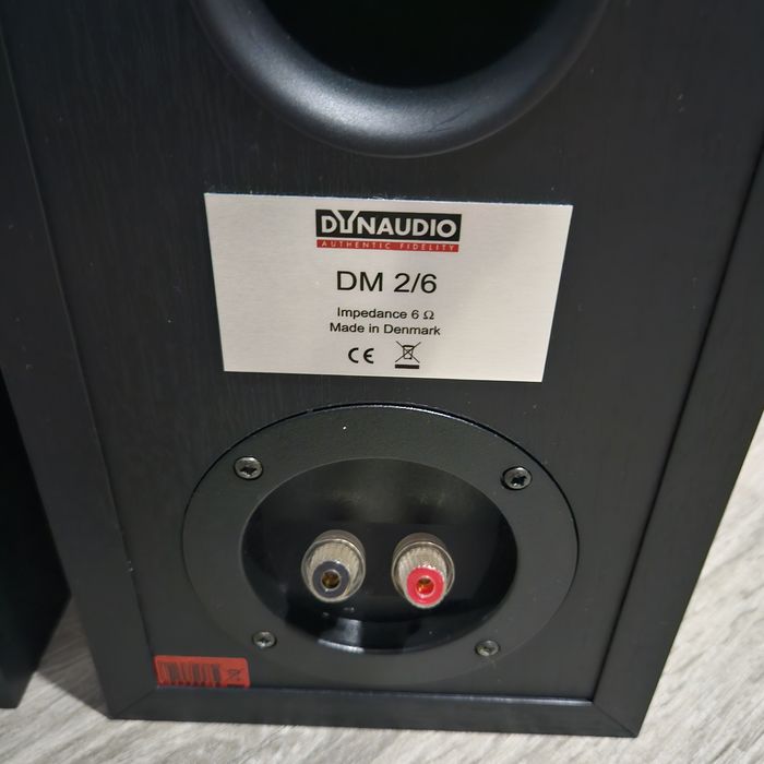 Boxe de raft Dynaudio DM 2/6