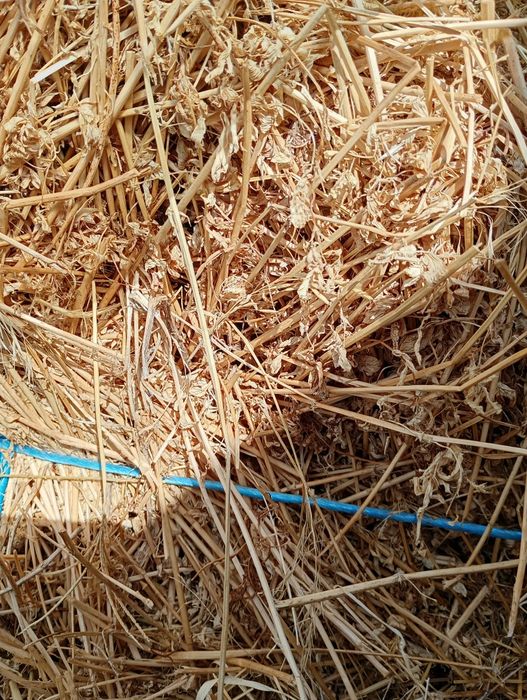 Baloți rotunzi de lucernă dimensiuni 90/60