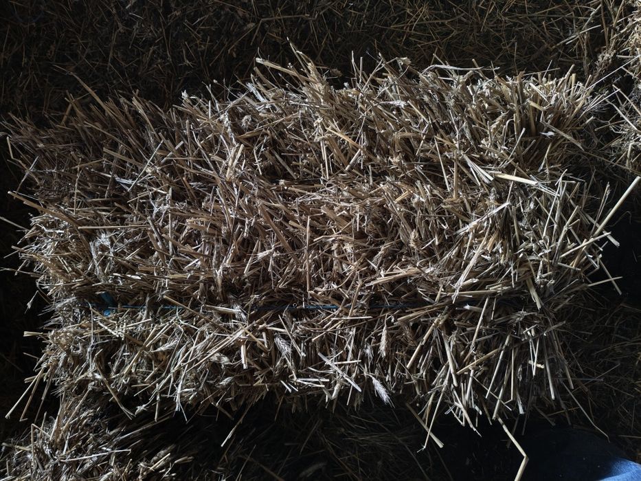 De vanzare baloti fan lucerna paie neplouat 2025