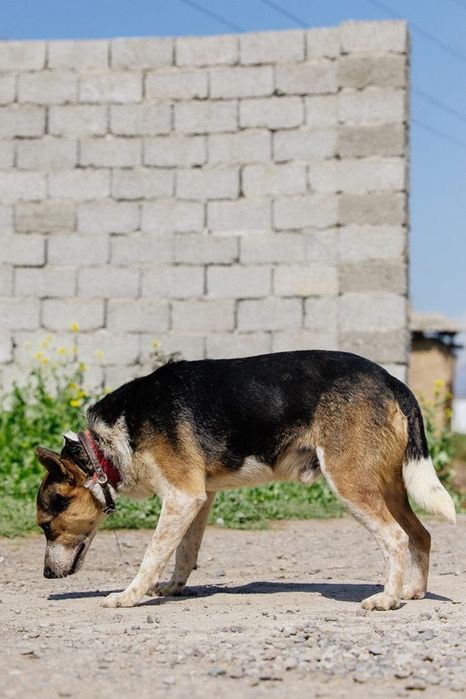 Мальчик Ричи ищет дом!