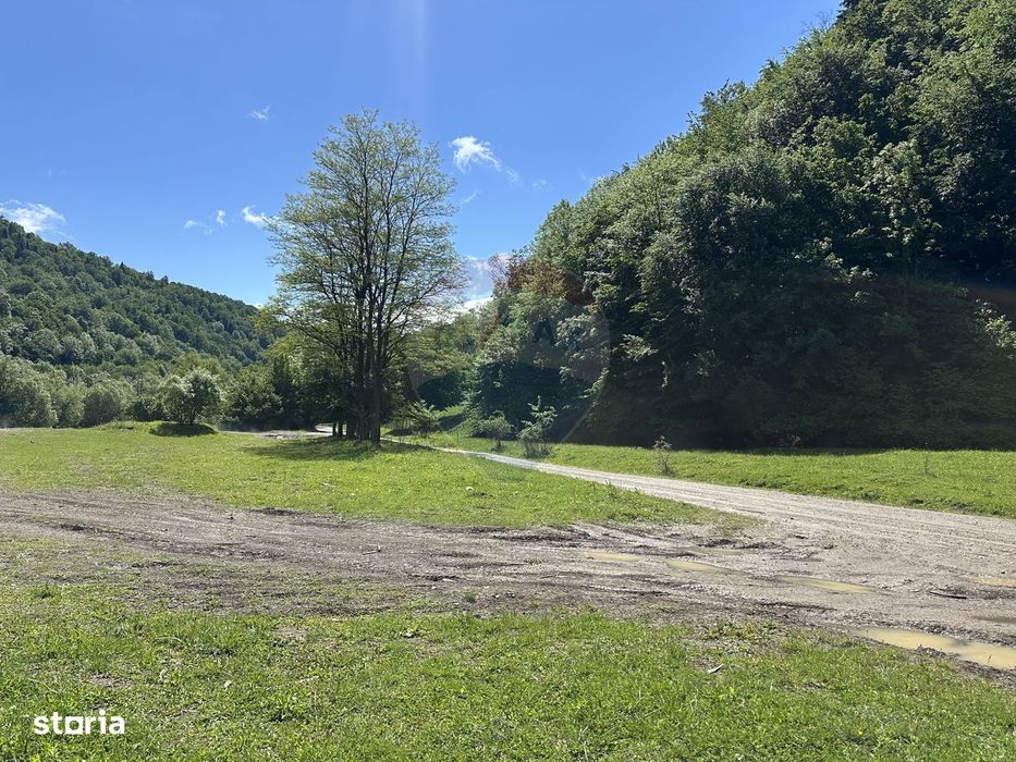 Teren 1,340mp Cuejdiu / Strada Cuejdiului