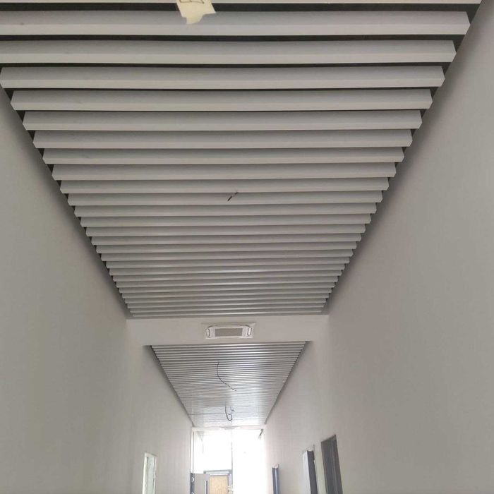 Потолочные системы |РЕЕЧНЫЙ потолок | Речной | Речнык| Rechni | Речни|