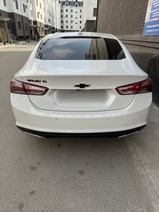 Malilu XL 2018  oq Jemchuk