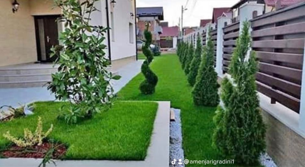 Amenajari gradini cu plante orice specie