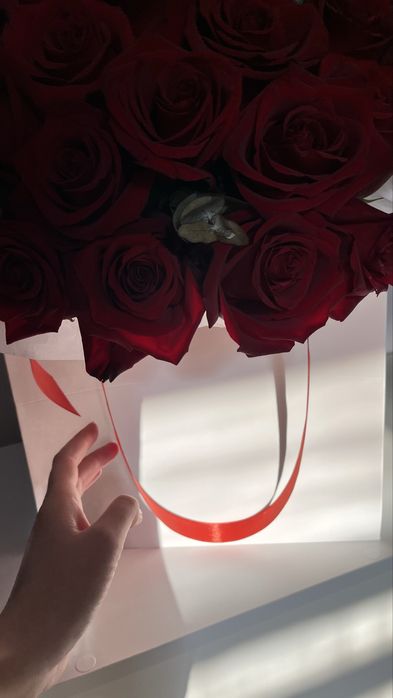 Красная роза 80 см - 700 тг
