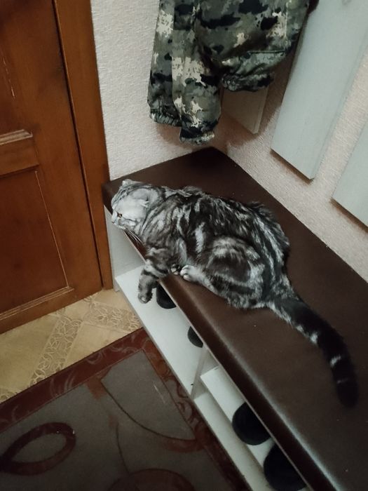 Возьмём к себе невесту