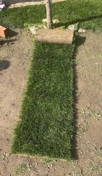 Gazon Rulou Sport sau Rustic