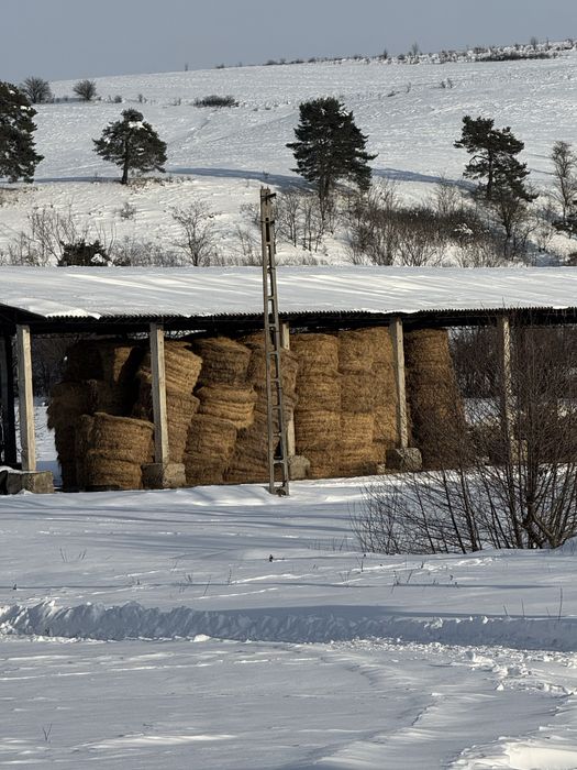 De Vanzare fân  de calitate