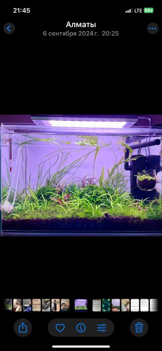 Week aqua M 400 pro