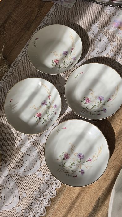 2 вида чинии Hutschenreuther