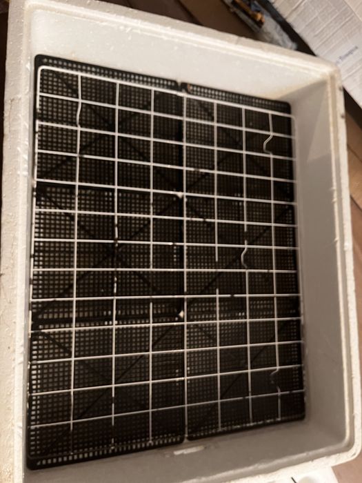 Инкубатор Несушка Би1. Би 2