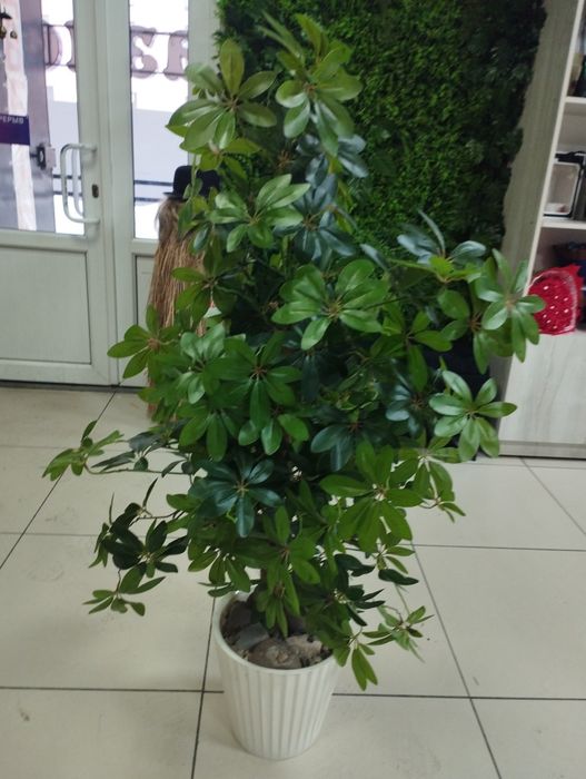 Продам искусственные деревья.