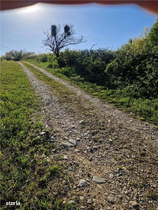 RECO, teren intravilan, Zona Sinteu, Bihor