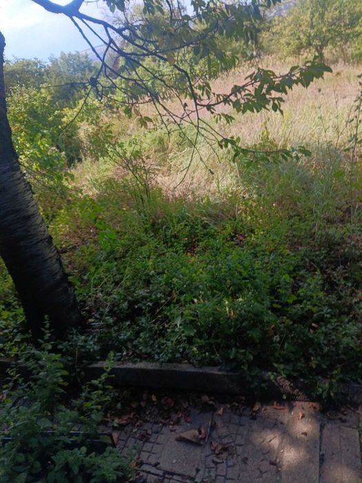 555-Продава се парцел в местността "Стражецки Лозя"!