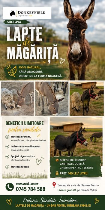 Lapte de măgăriță salcea