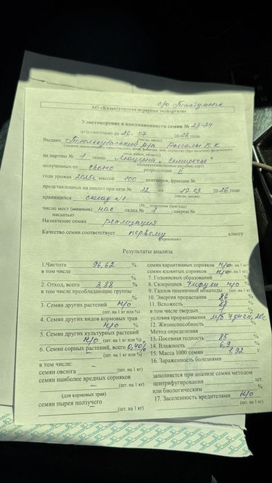 Беде. Жонышка урык. Люцерна.