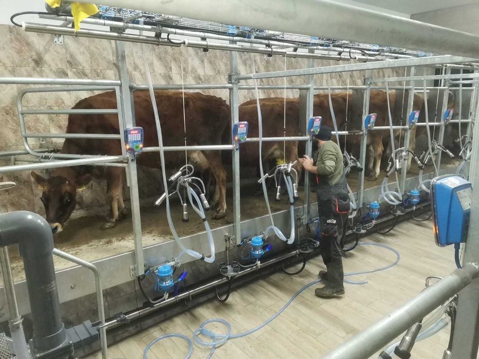 Caut asociat fermă zootehnică complet echipată