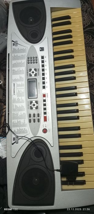 Музыкальный инструмент