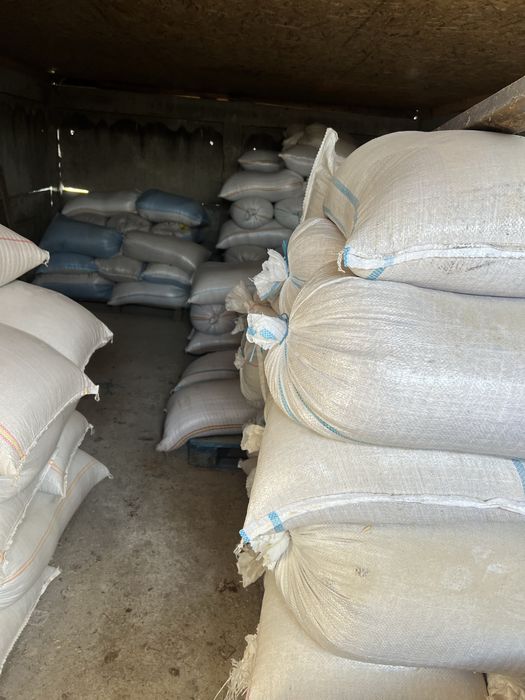 Orz de vanzare 15 lei banița