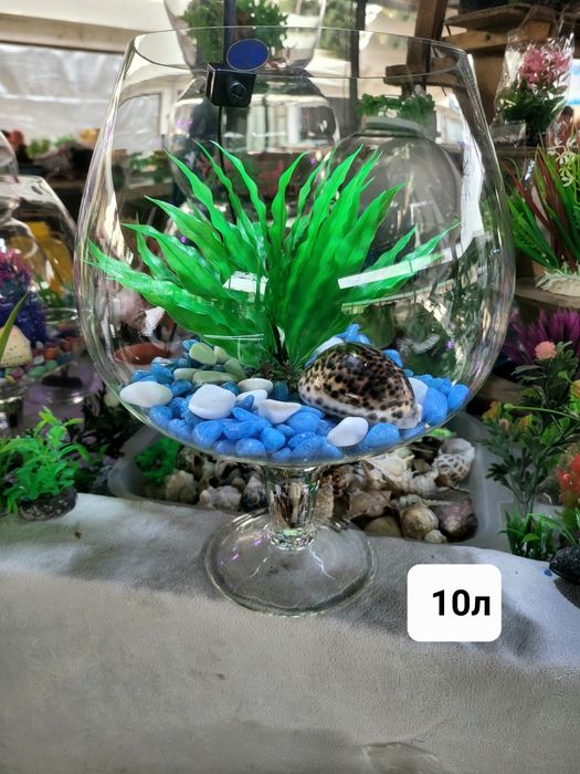 Рюмка аквариум 7 . 10 , 12л