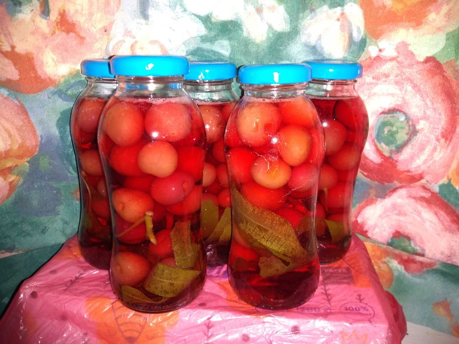 Детегледачка / домашна помощница