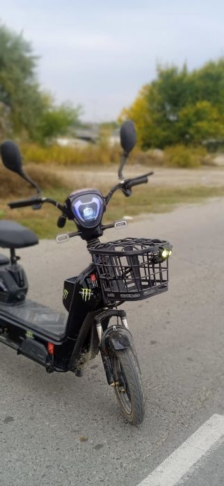 Прлдам маото велик