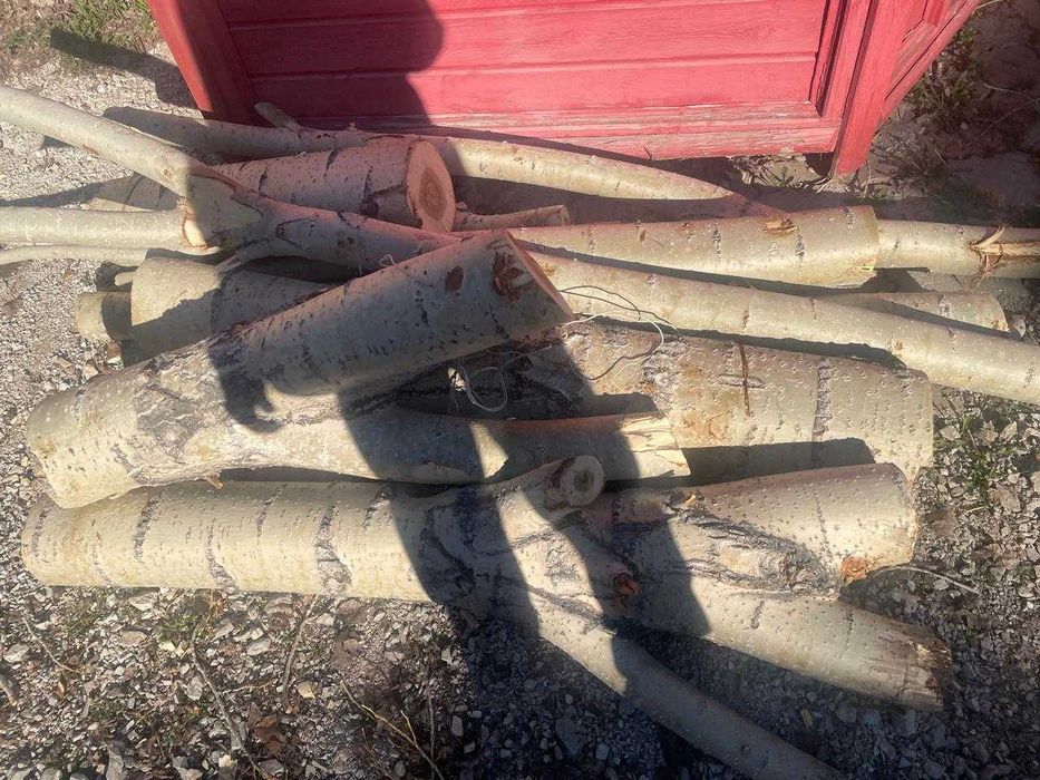 Дрова даром бесплатно