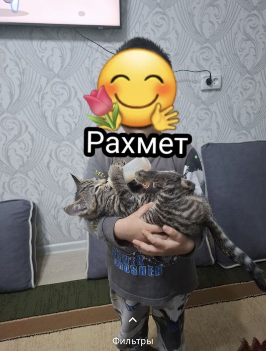 Добрые руки бесплатно