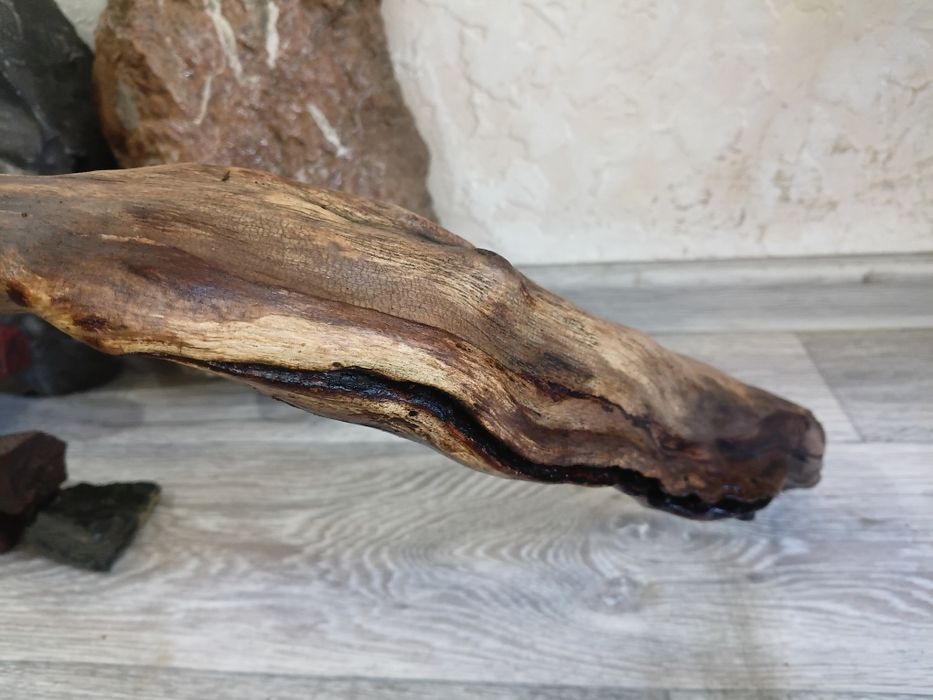 Коряга аквариумная