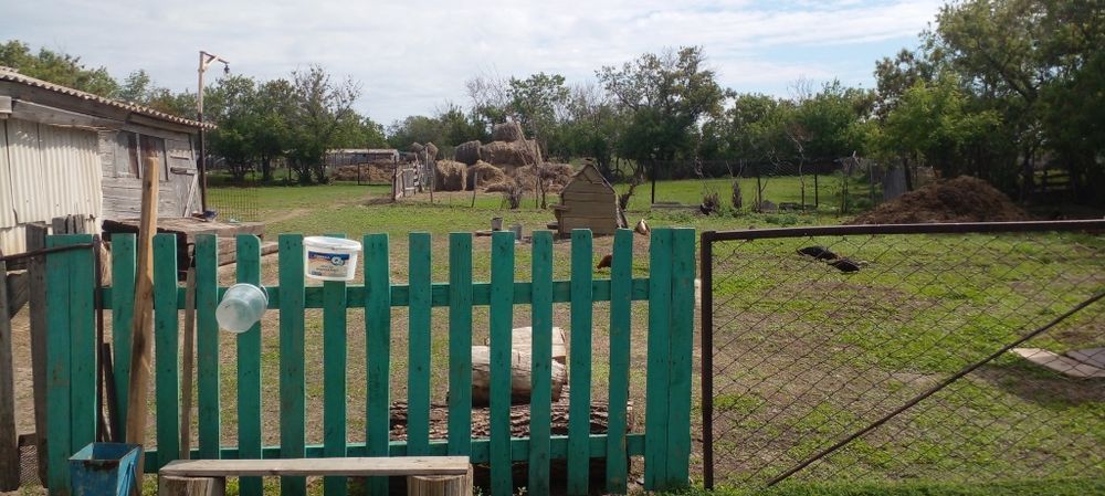 Тез арада Үй сатылады.