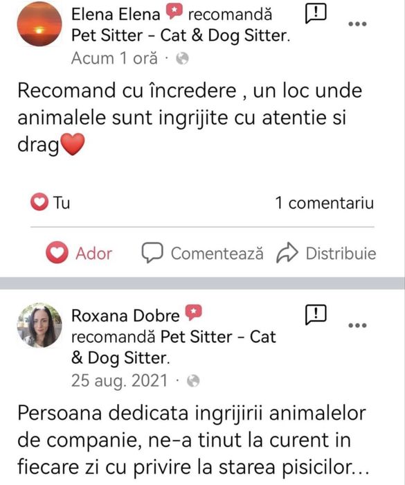 Pet Sitter & Pet Sitting - Dog & Cat Boarding