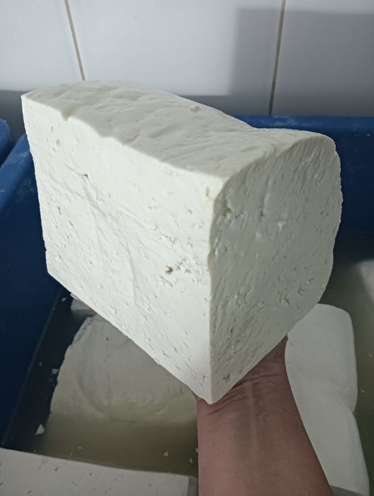 Brânză de oaie disponibil 500kg