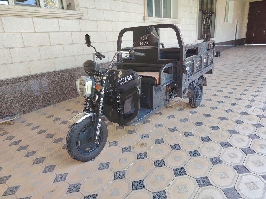 Трицыкол муравей