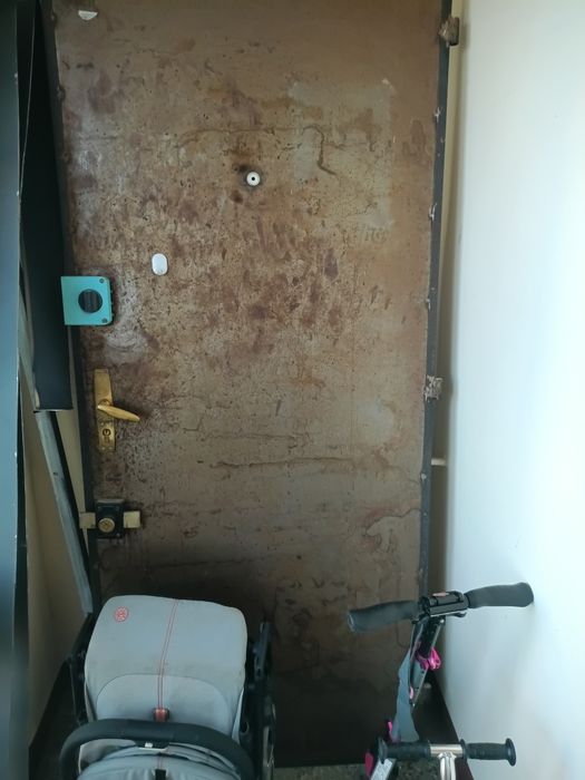 Желязна входна врата