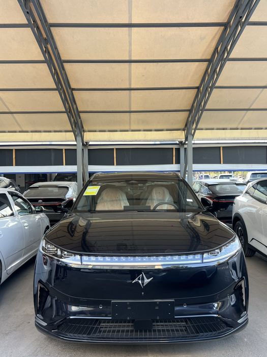 Dongfeng 008 max 2026