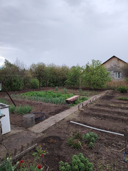 Продажа дача летний вариант