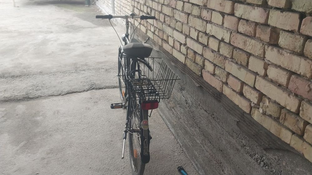 Velaseped  germanski