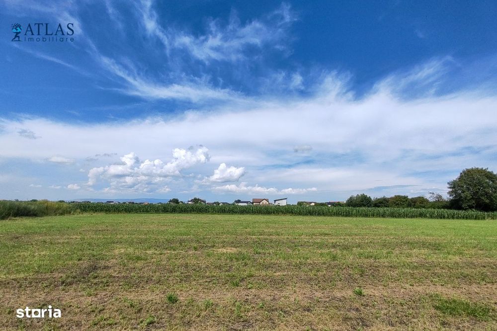 Loturi rezidențiale Cavalului, 500-700 mp, PUZ, utilități, Stupini