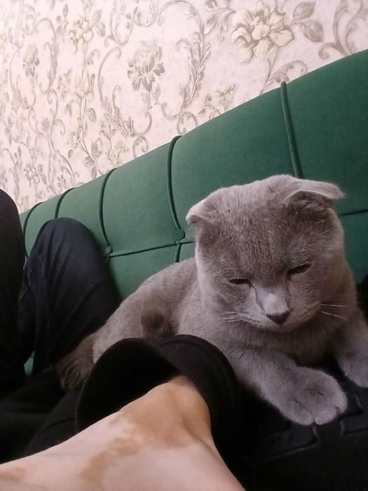 Активно ишем невесту для связки