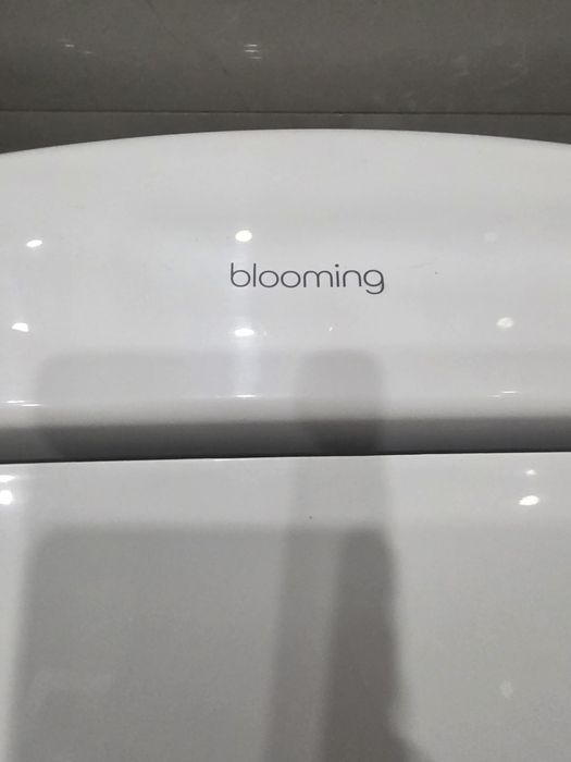 Умная  крышка - биде