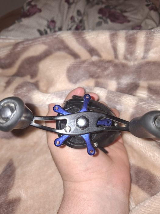 Mulineta Delphin Orix baitcasting