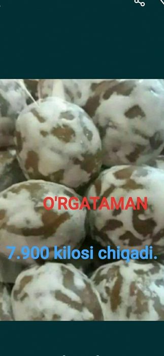 10800dan chiqadi kilos o'rgataman