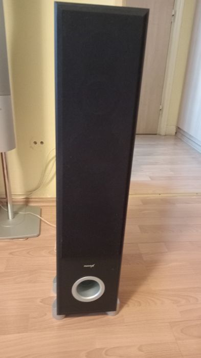 Boxe Profesionale de Podea PASIVE 2×500W.