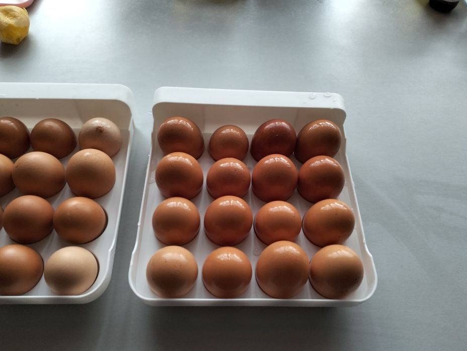 Ouă de casă proaspete