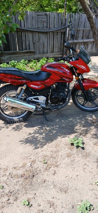 Продам рейсер 250 р 6.