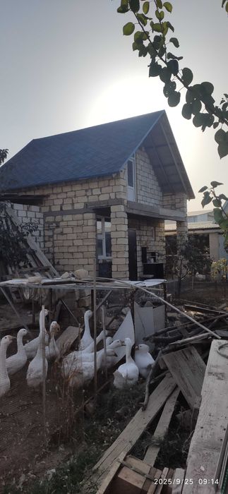 Продается дача  6 соток