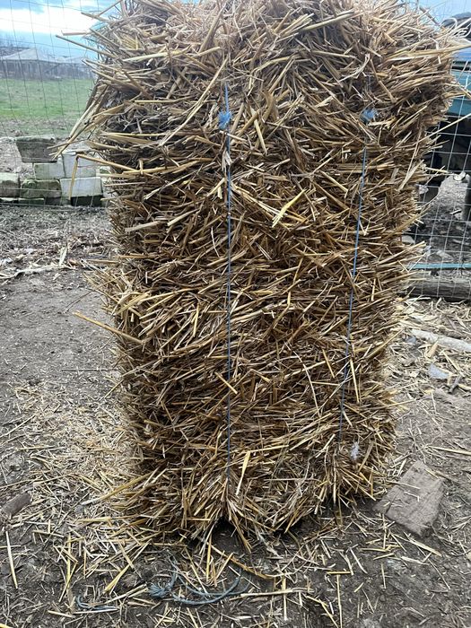 Baloti de paie de grau