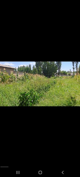 5 сотих курук йер сотилади!