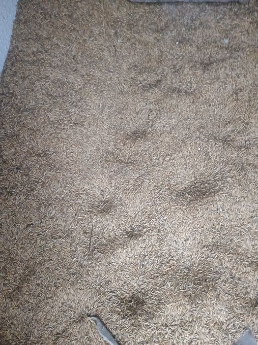 Baloti și ovăs de vanzare