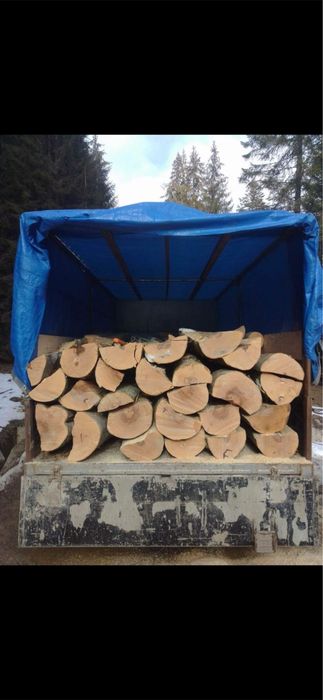 Vand lemne de brad si de fag in judetul Suceava